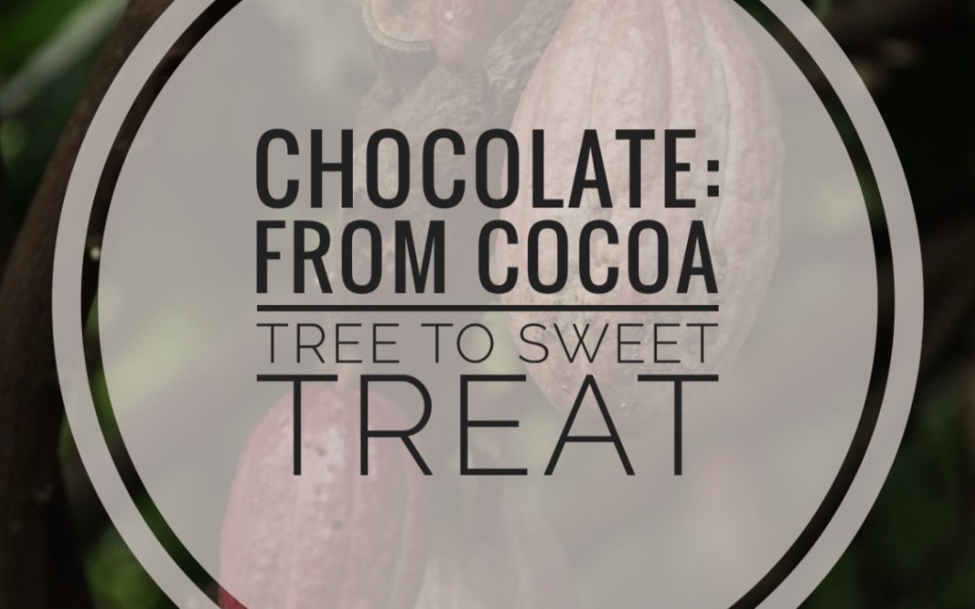 Did you ever wonder where chocolate comes from? I’m sharing the story of chocolate – from cocoa tree to sweet treat, and some tips to for it into a healthy meal plan