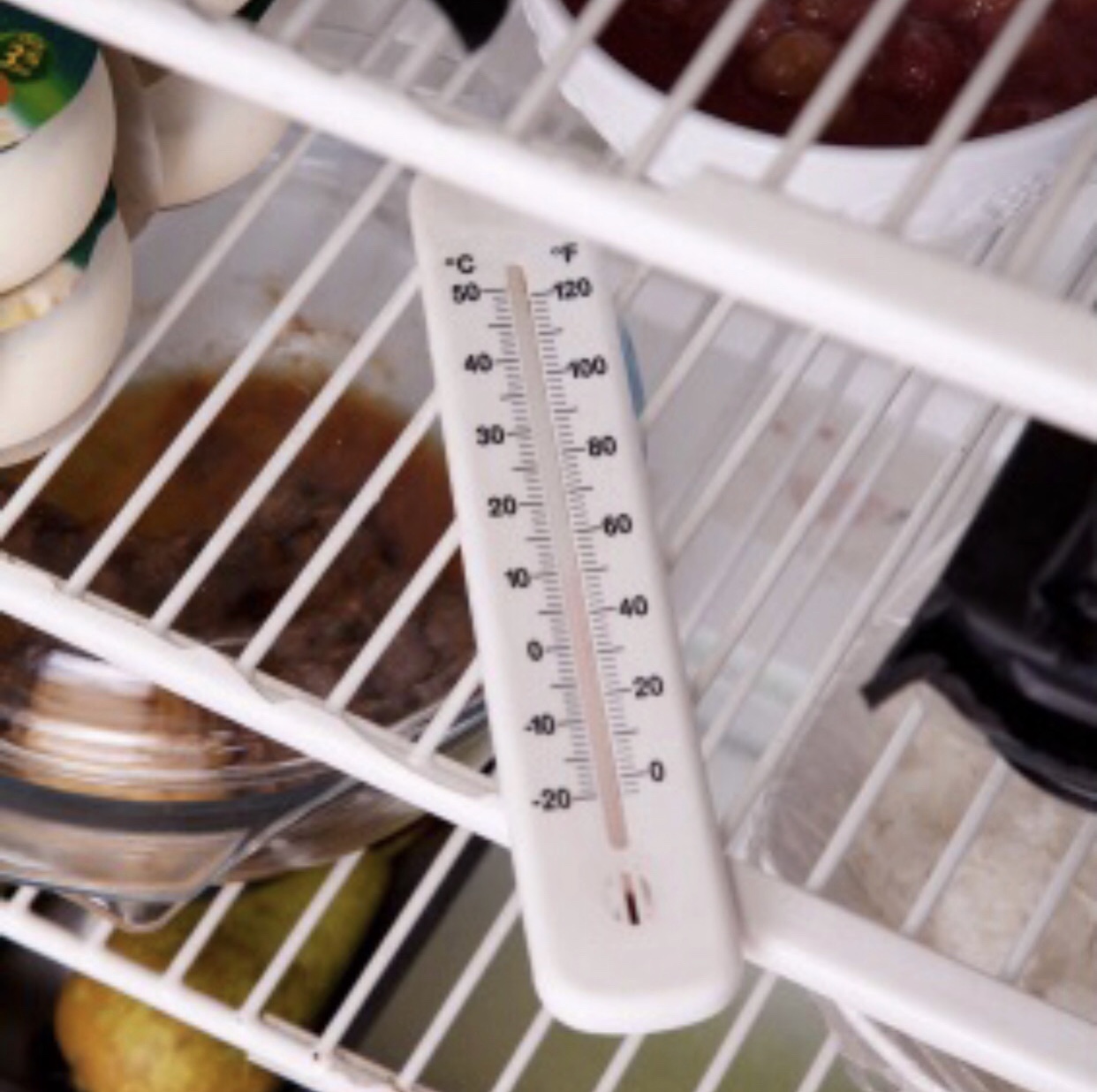 Is Your Refrigerator Making You Sick? Heather Mangieri Nutrition