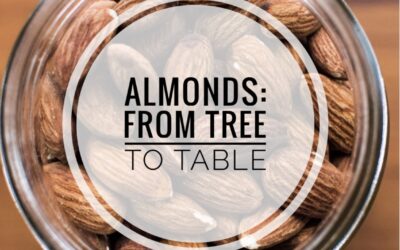 Almonds: From Tree to Table