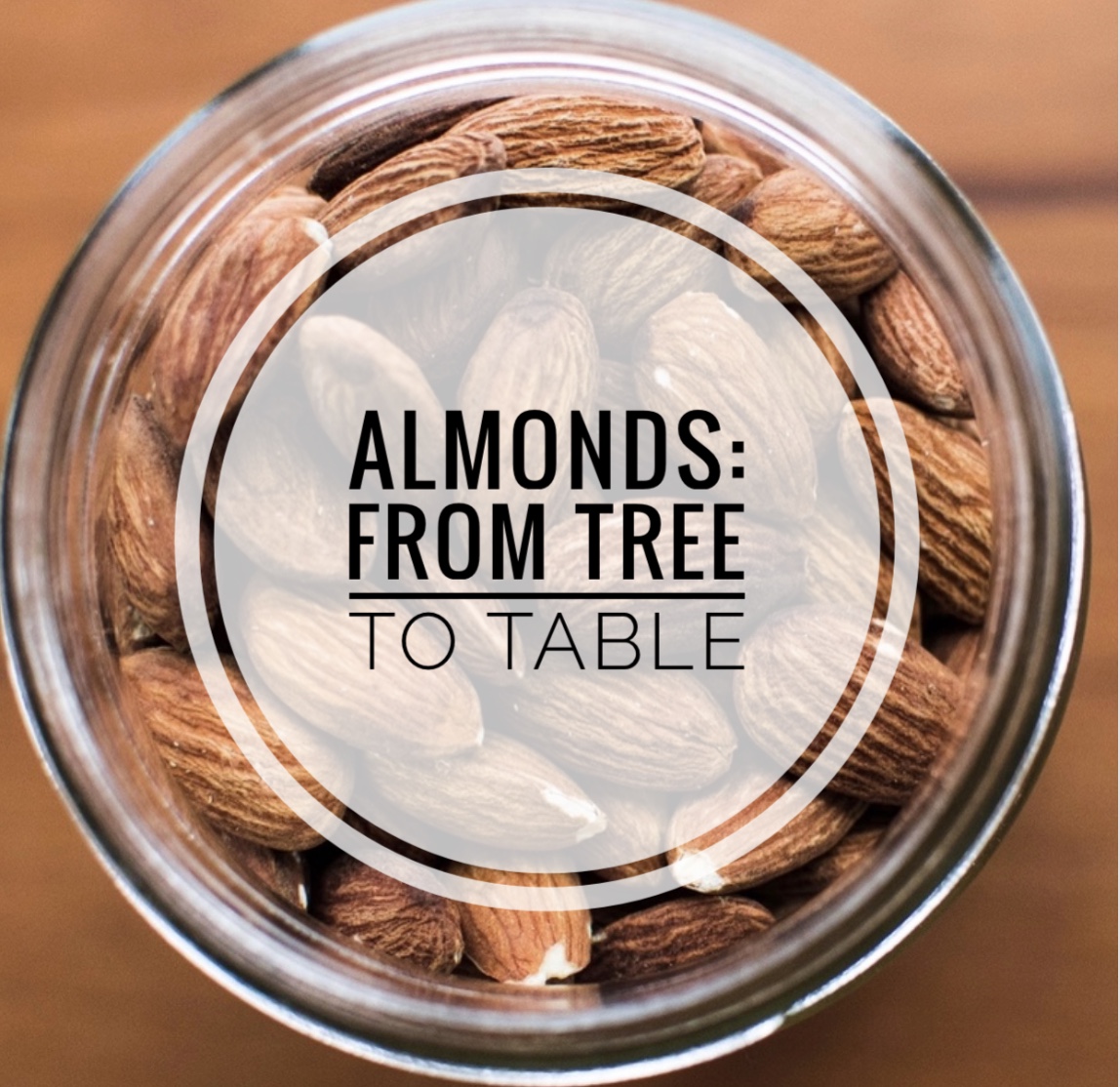 Almonds: From Tree to Table - Heather Mangieri Nutrition