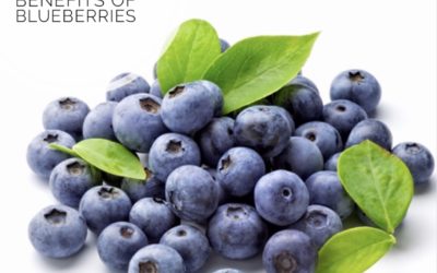 The Benefits of Eating Blueberries