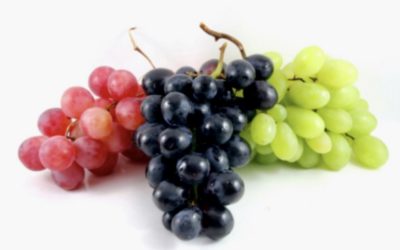 The Nutrition and Health Benefits of Grapes