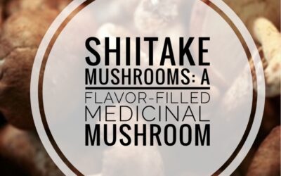Shiitake Mushrooms: A Flavor-Filled Medicinal Mushroom