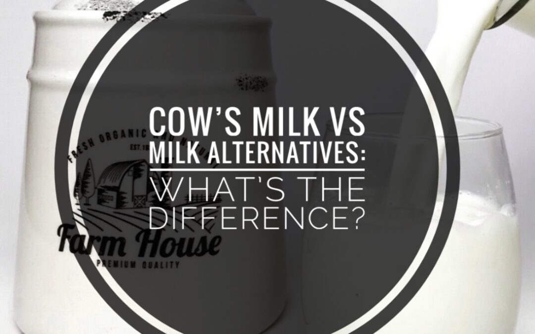 Cow’s Milk Versus Milk Alternatives- What’s the Difference