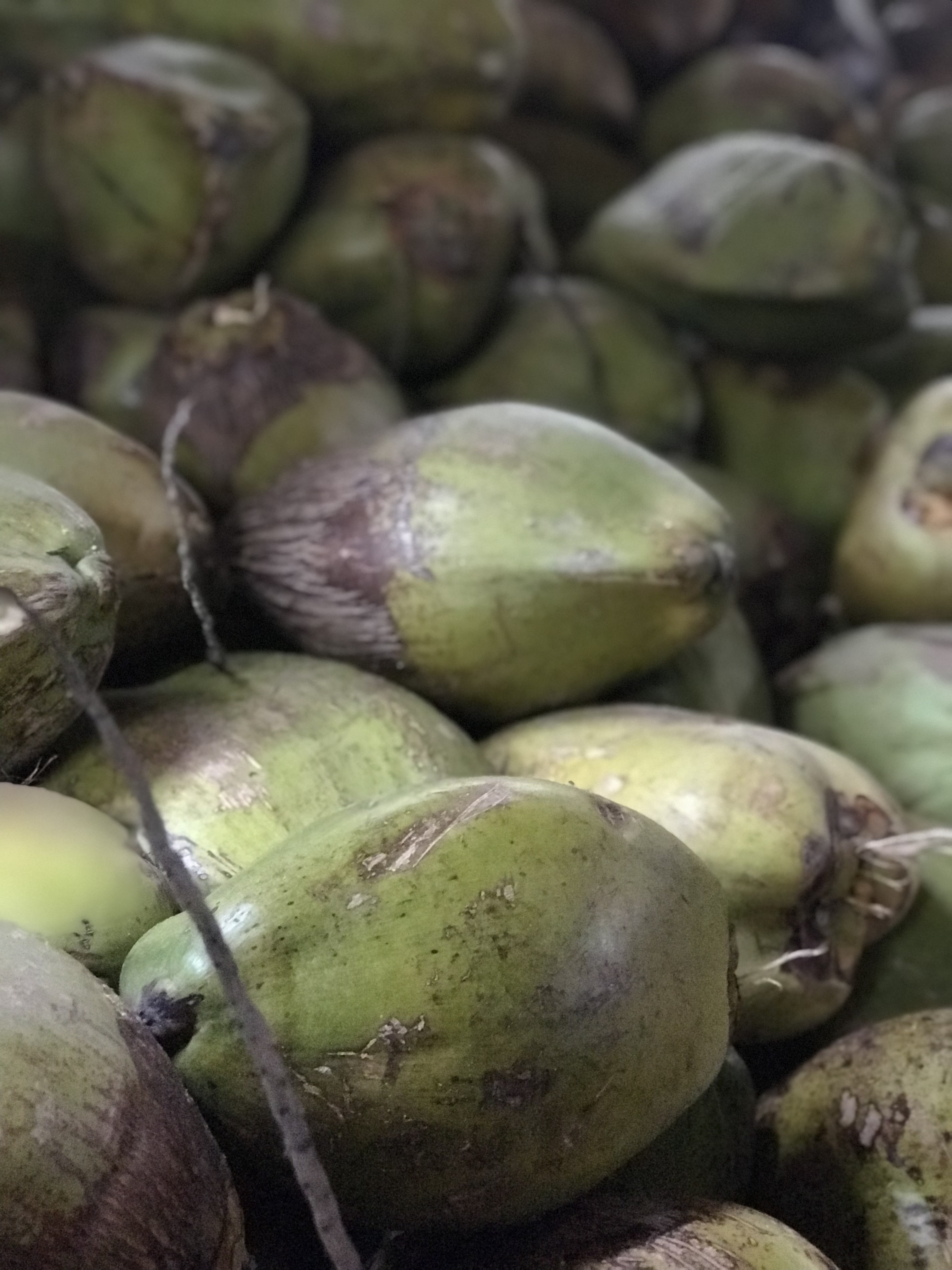 Foods to Try in San Pedro- Belize -Fresh Coconuts - Heather Mangieri ...